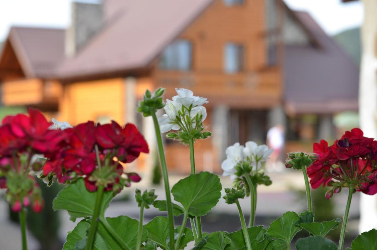 Sribni Rosy Hotel Mykulychyn Exterior photo